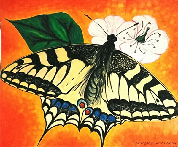 Le Machaon - Papillon de nos Régions - Peinture à l'Huile sur Toile 