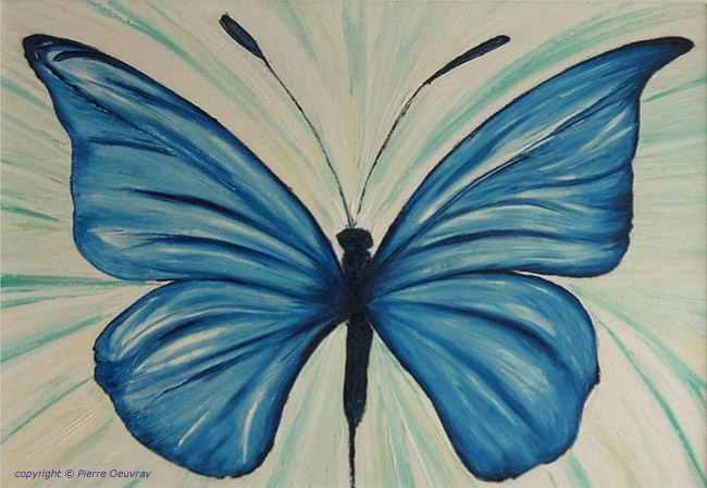 Morpho, tropical Butterfly, 